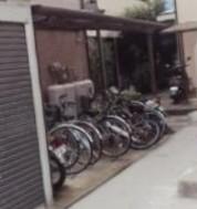 グローブ