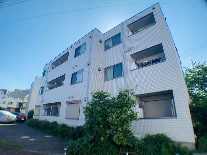 ラシーネ扇サクラ