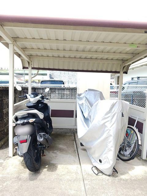 サンシャイン