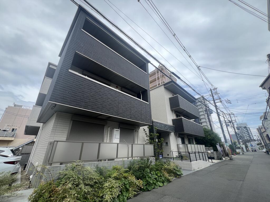 フィールドライト菅原