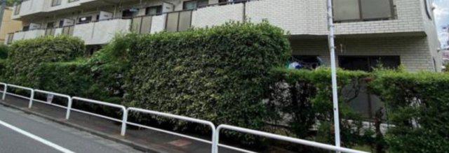サンフィールドハイツ
