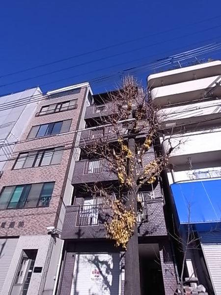 永光ビルディング割塚