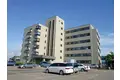 ハイライフ新和