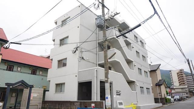 シャトレ紅梅