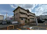エル プエンテII
