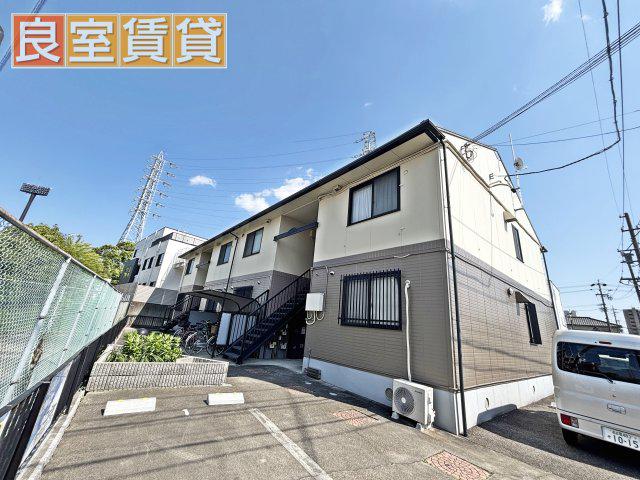 グレイシス
