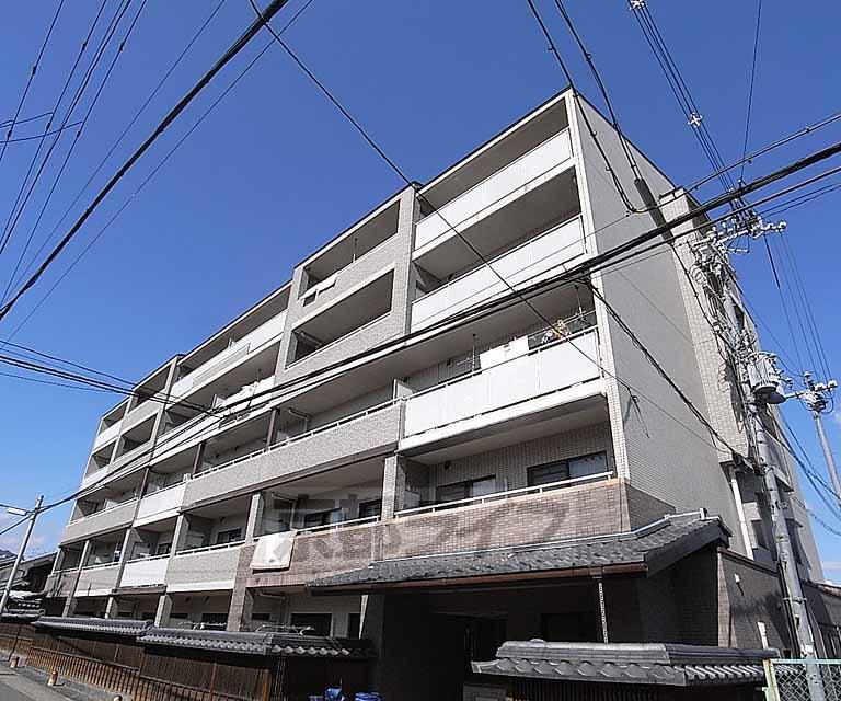 プロスペクト桂