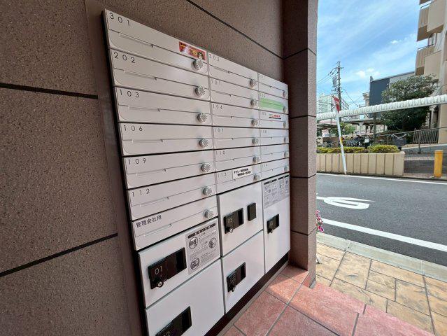 SUN PLUS 1