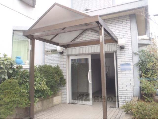プラムアコード