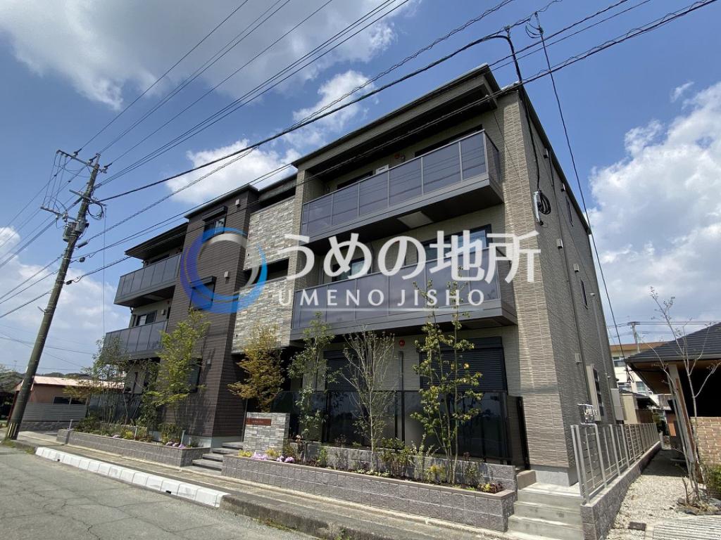 シャーメゾングレイス