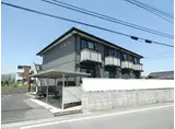 フローラルヒカリ