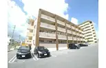 ヴィレチェリーナ