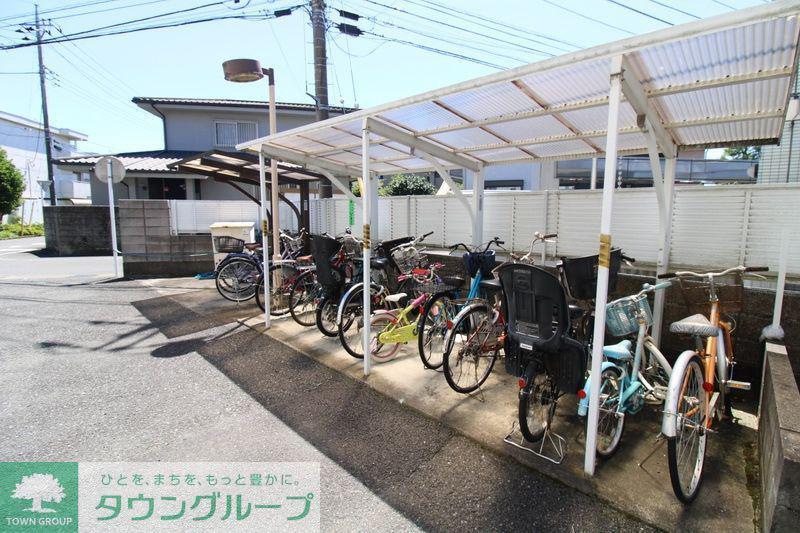 アムールオオカサ