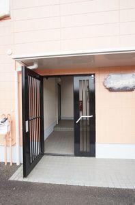 サミー タウン E