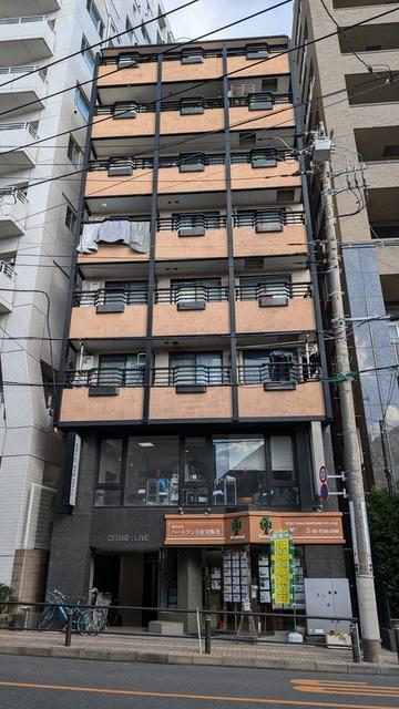 シーダーズリブ