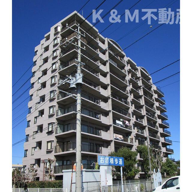 コスモ柏セランス(4LDK/8階)
