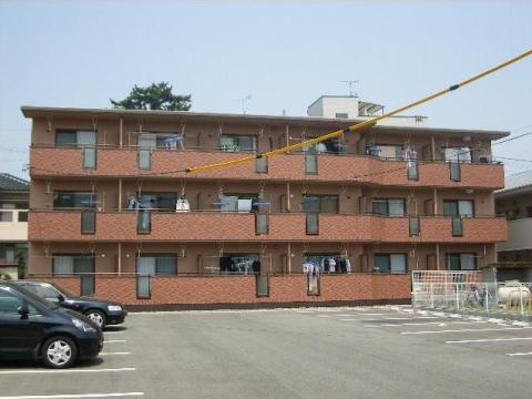 AVANTII