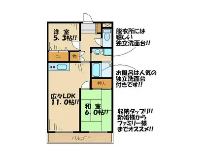 グリーンプレイス(2LDK/2階)の間取り写真