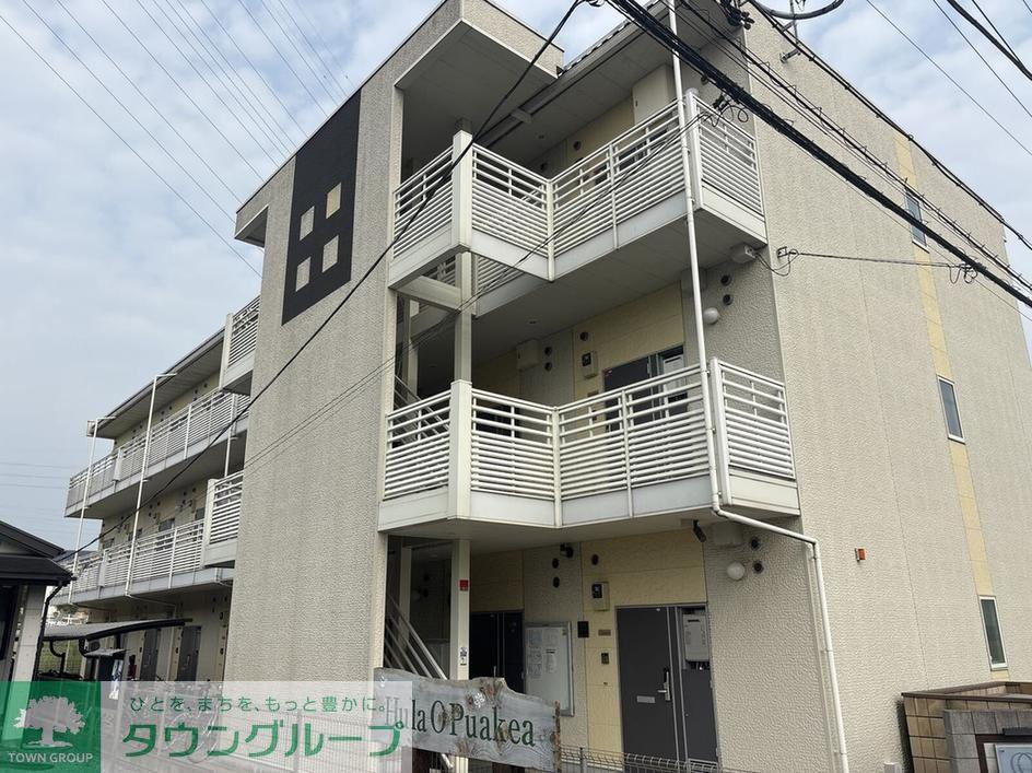レオネクストコラッジョ 53411