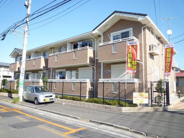 プラシード