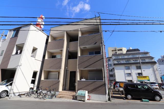 YS MAISON CAMELIA