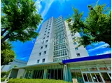 有楽町線 辰巳 高級マンション ペット2匹まで可