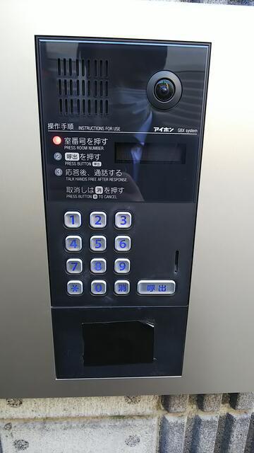SOLANA 和泉
