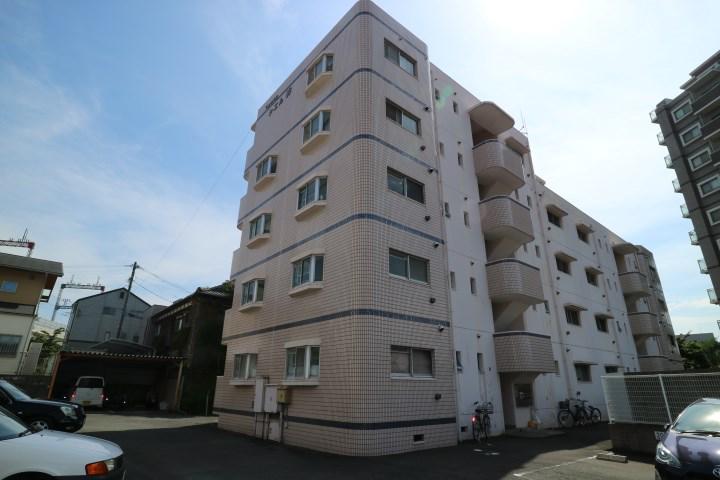 シェル幹