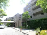 野村ステイツディグニーコート住吉川