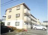 シティ堂山B