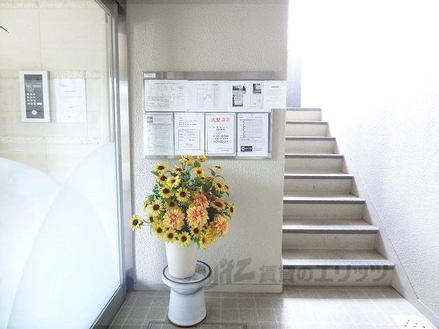 アルティア桂