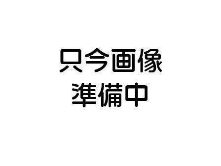 ノヴァーリス恵