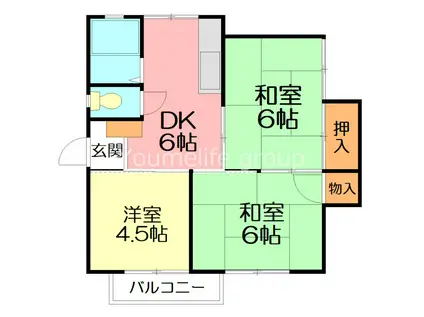 コーポ芹沢(3DK/1階)の間取り写真