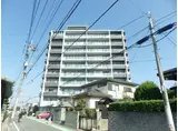 アムシュトラーセ