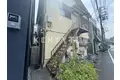 キャメロンハイランド