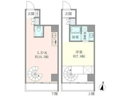 SS-D(1LDK/5階)の間取り写真
