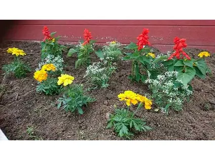 リバーサイドウエスト(ワンルーム/1階)の外観写真