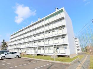 ビレッジハウス 上野幌 4(3DK/5階)