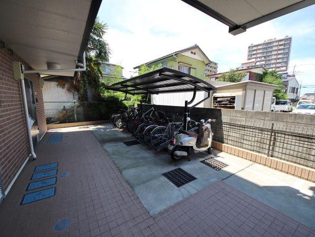 レオネクストステラ