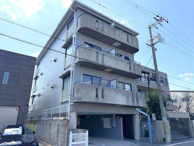 ファニーコートS