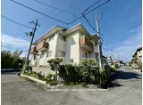 エボニーグローブ