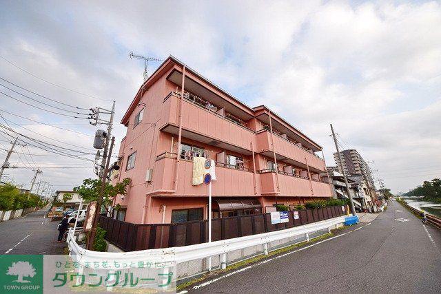 オアシス光