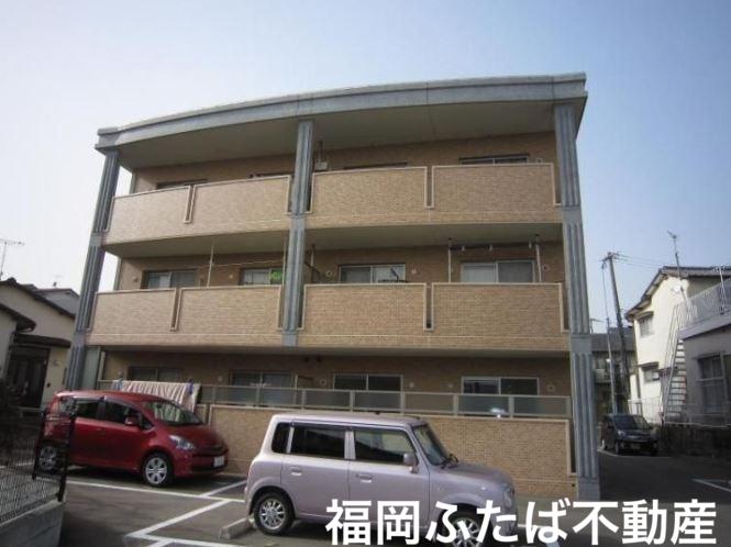 BEETLE 若久