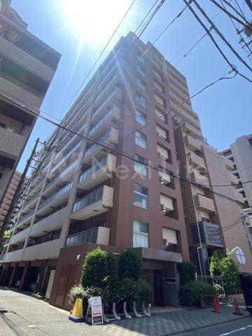 プライマルマチダ