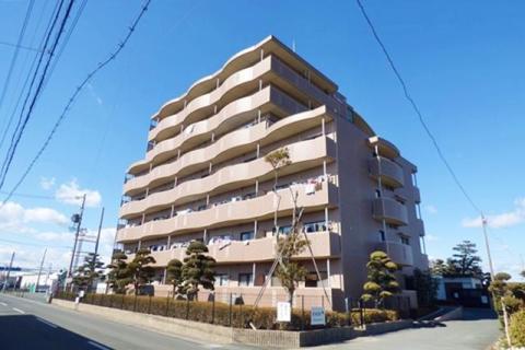 コスモス