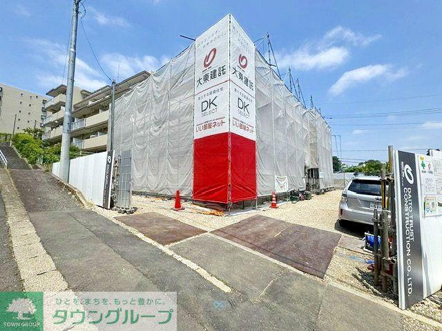 サイネリアII