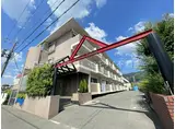 パストラルタツミ