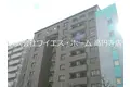 KS新中野