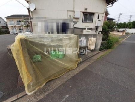 ビオラ・エイト