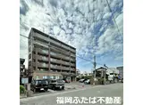グリーン フォレスト